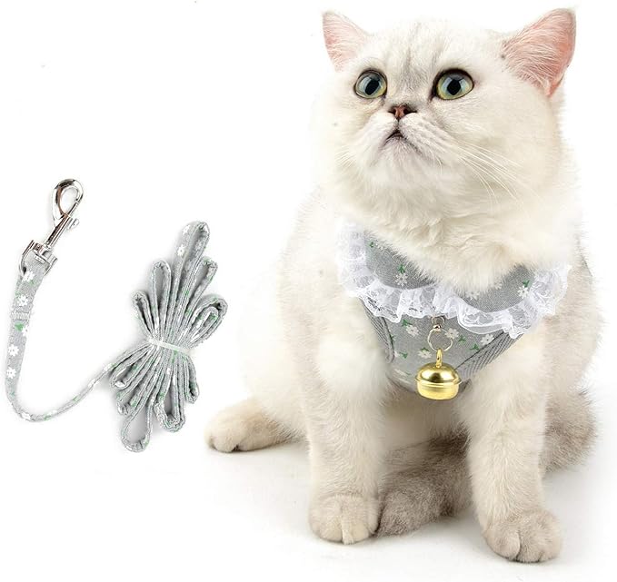 Universal Cat and Small Dog Harness and Leash S