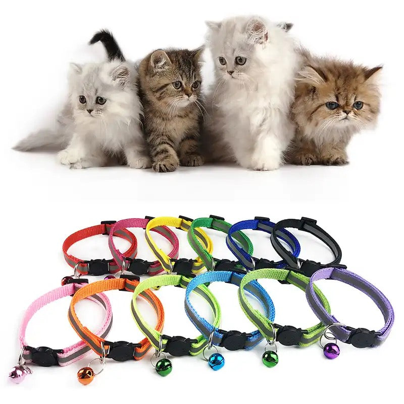 Cat collar for kitten