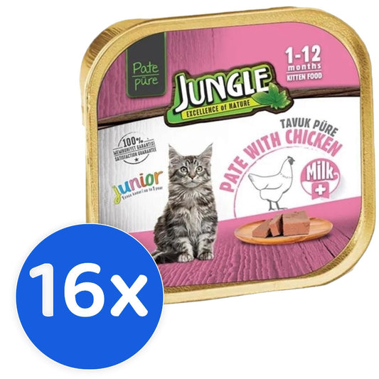 Jungle Kitten & Junior Chicken 16X