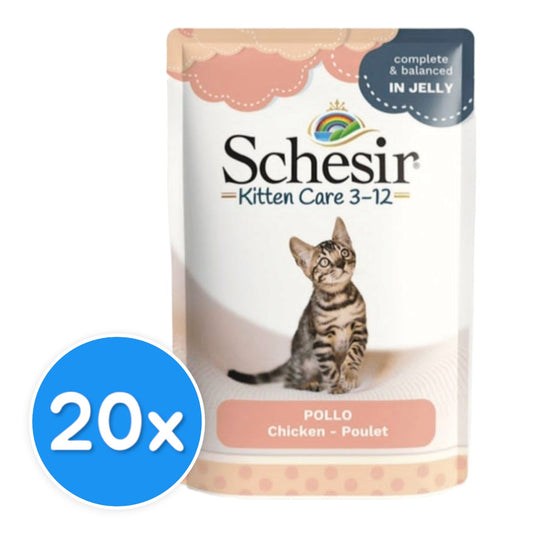 Schesir Kitten Care Chicken In Jelly 20X