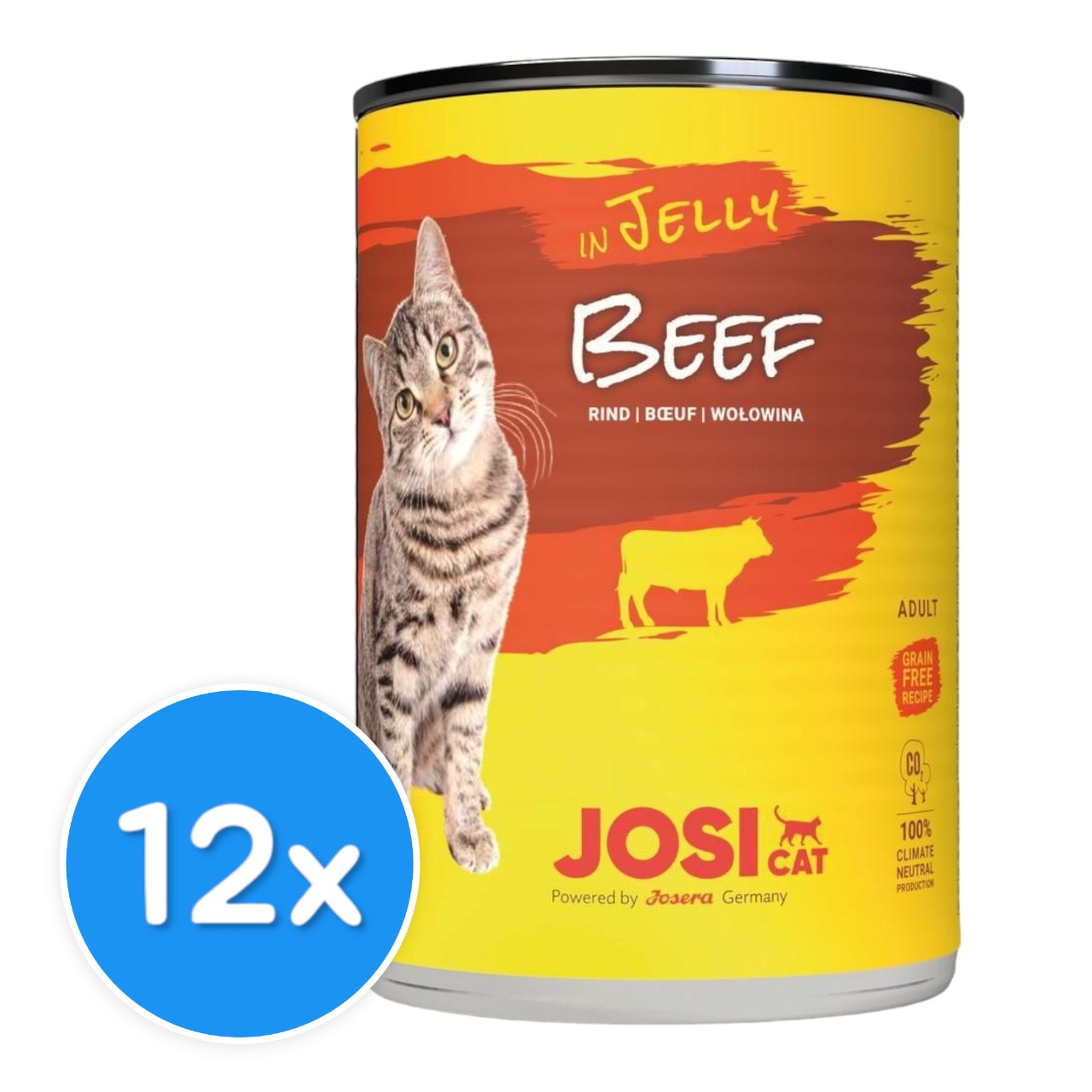 Josicat Adult With Beef In Jelly X12