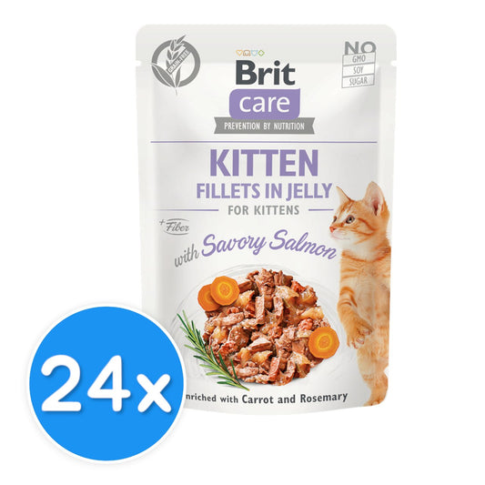 Brit kitten savory salmon 24X