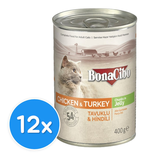 Bonacibo Adult Chicken & Turkey 12X