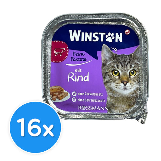 Winston Adult with Beef 16X