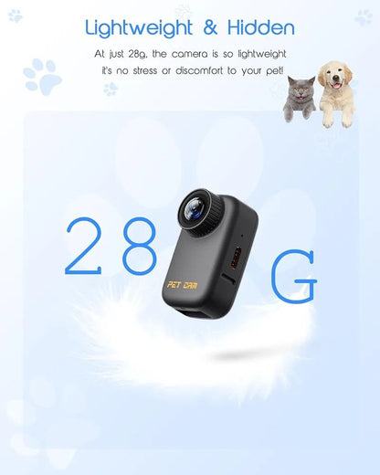 4K Cat Collar Camera