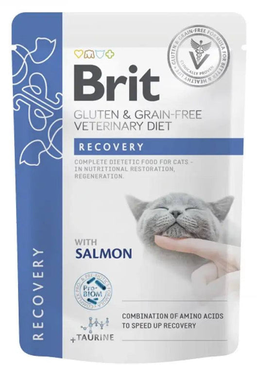 Brit Recovery with Salmon 85g