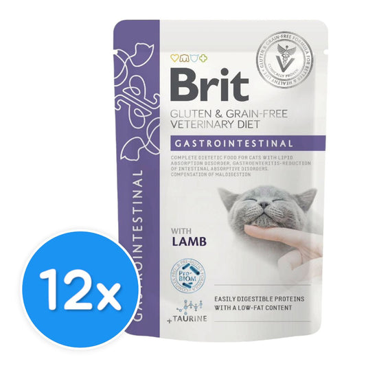 Brit Gastrointestinal with Lamb 12X