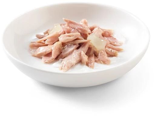 Schesir kitten Tuna With Aloe in Jelly 85g