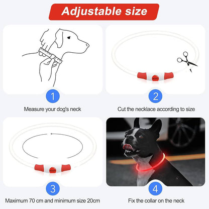 Zoofari Rechargeable Led Collar 20cm